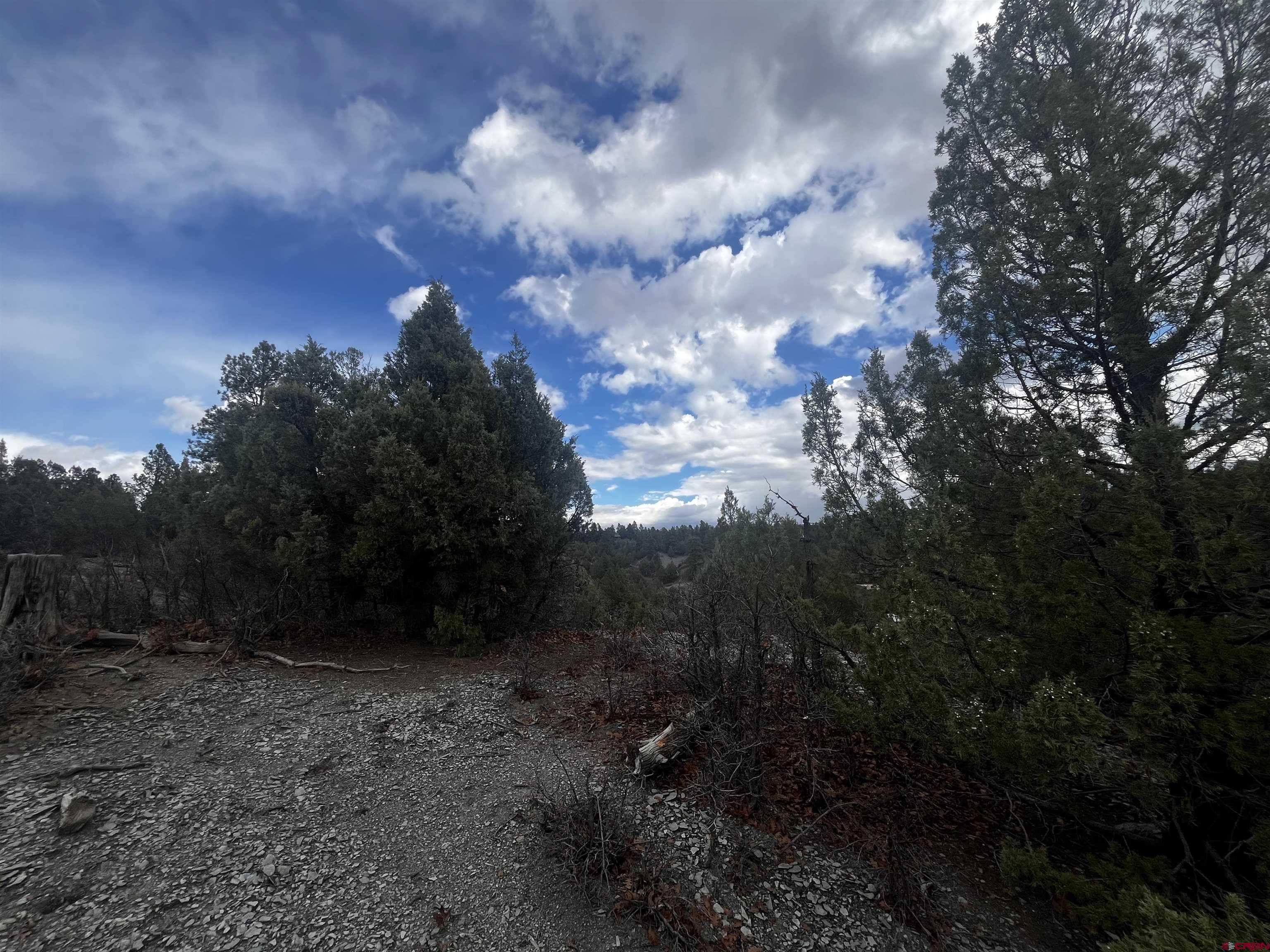 1146 Harvard Avenue Pagosa Springs, CO 81147 - Photo 9 of 26 a view of outdoor space and yard