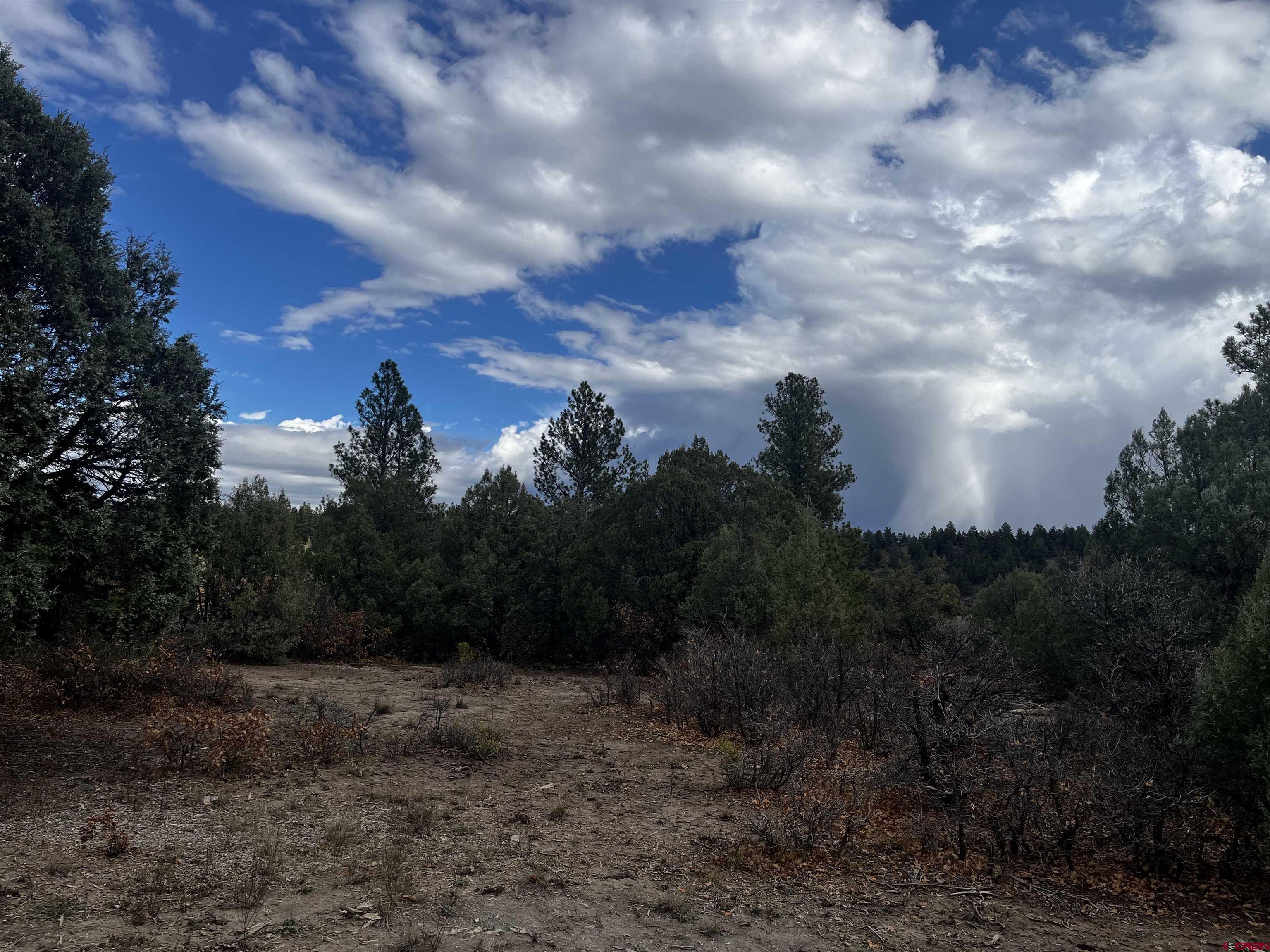 1146 Harvard Avenue Pagosa Springs, CO 81147 - Photo 10 of 26