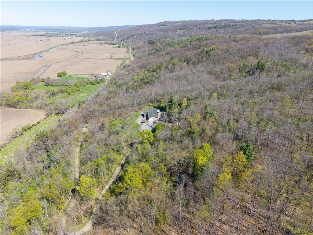 8917 Groveland Station Road Dansville, NY 14437 - Photo 37 of 39