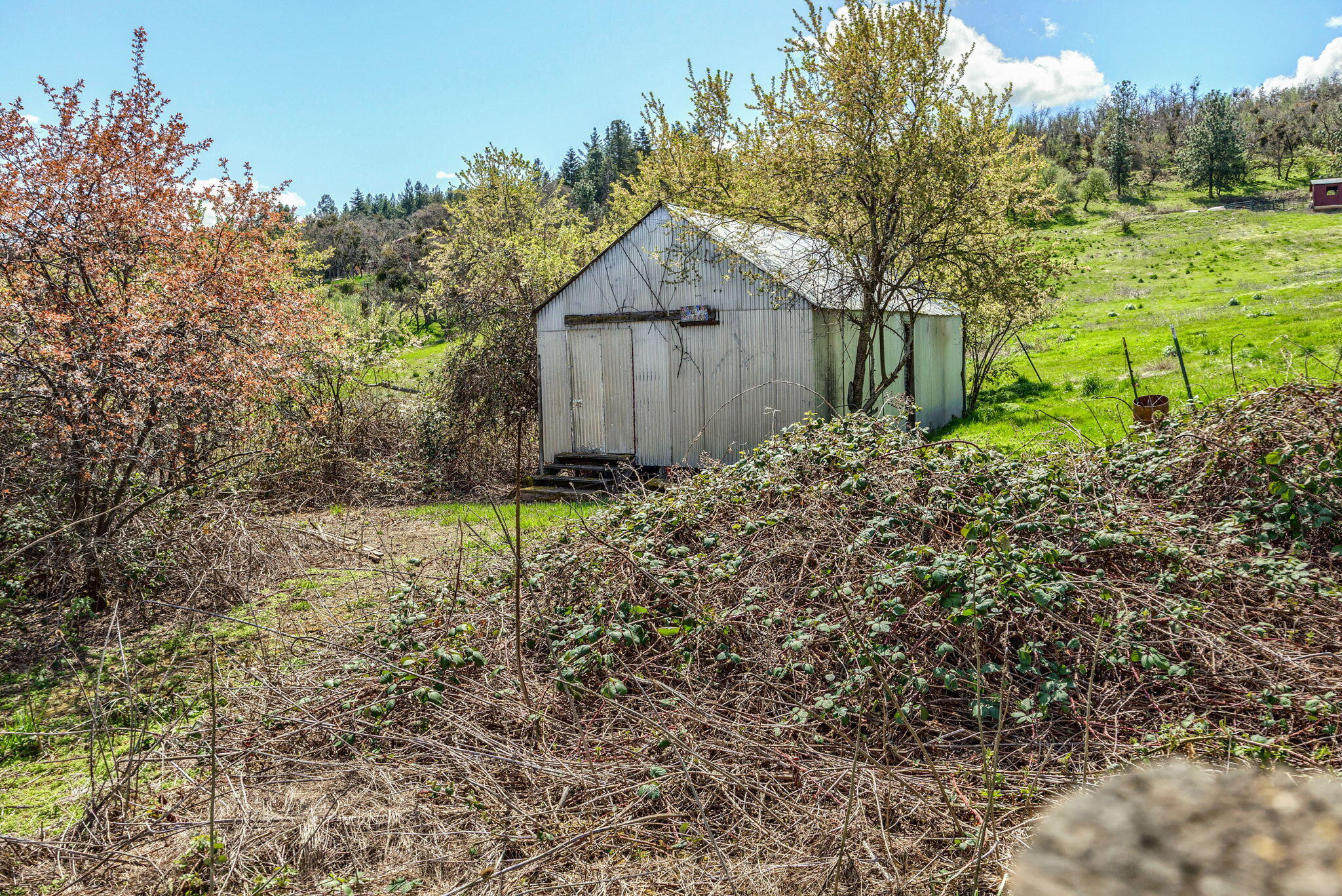 4336 Independence School Road Medford, OR 97501 - Photo 36 of 57 36