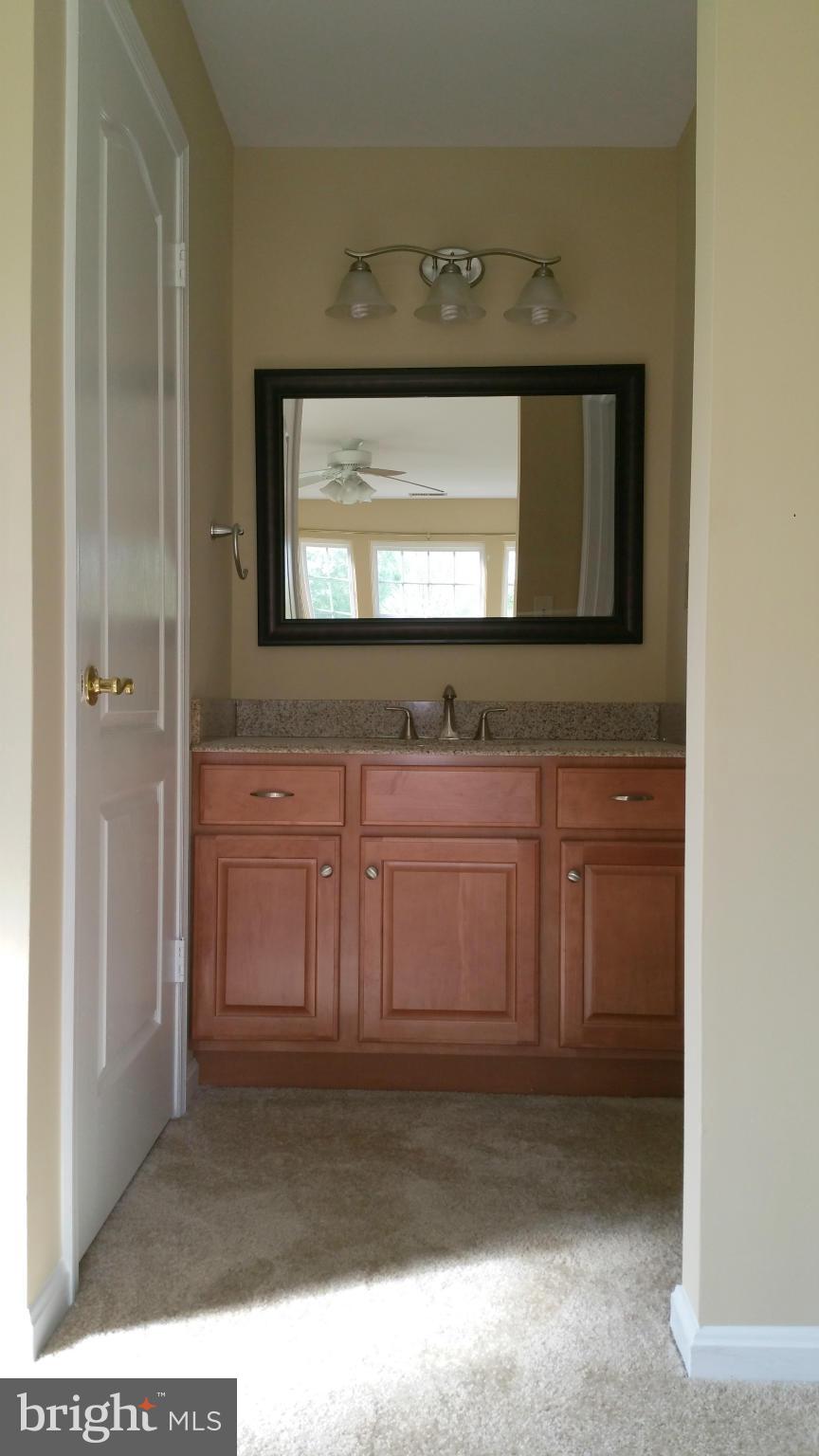 8489 Falls Run Road, Unit E Ellicott City, MD 21043 - Photo 22 of 30 Bath (Master)