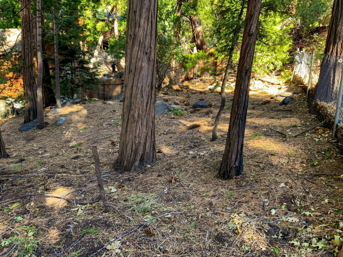 24989 Rim Rock Road Idyllwild, CA 92549 - Photo 48 of 58 Untitled