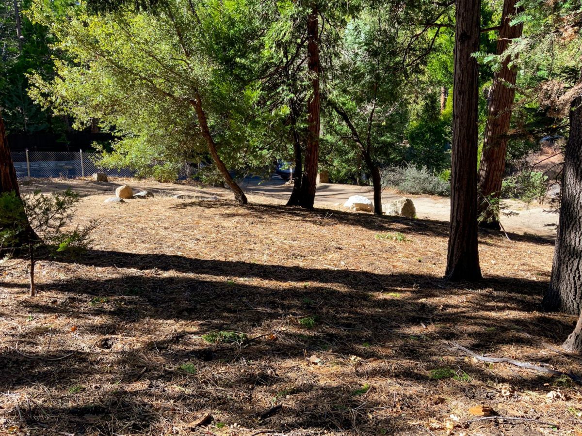 24989 Rim Rock Road Idyllwild, CA 92549 - Photo 50 of 58 Untitled