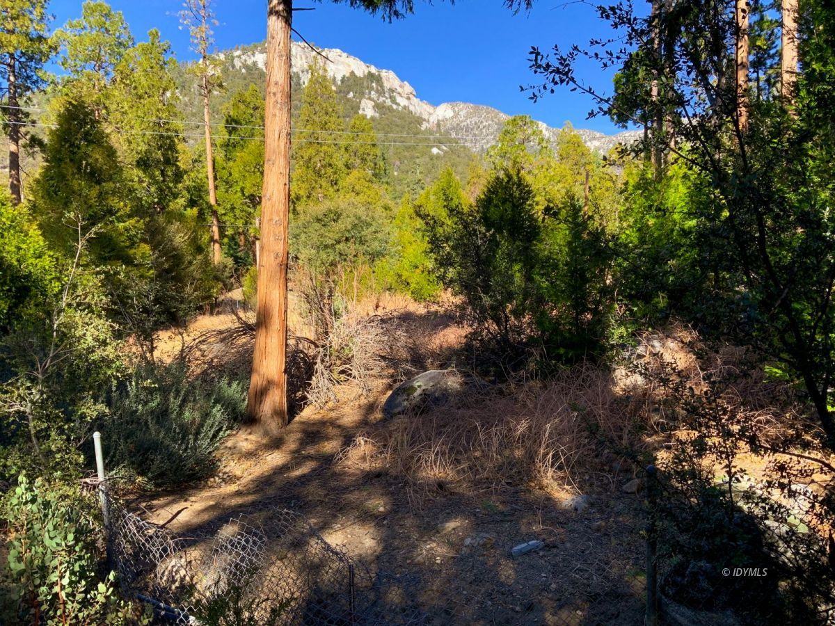 24989 Rim Rock Road Idyllwild, CA 92549 - Photo 53 of 58 Untitled