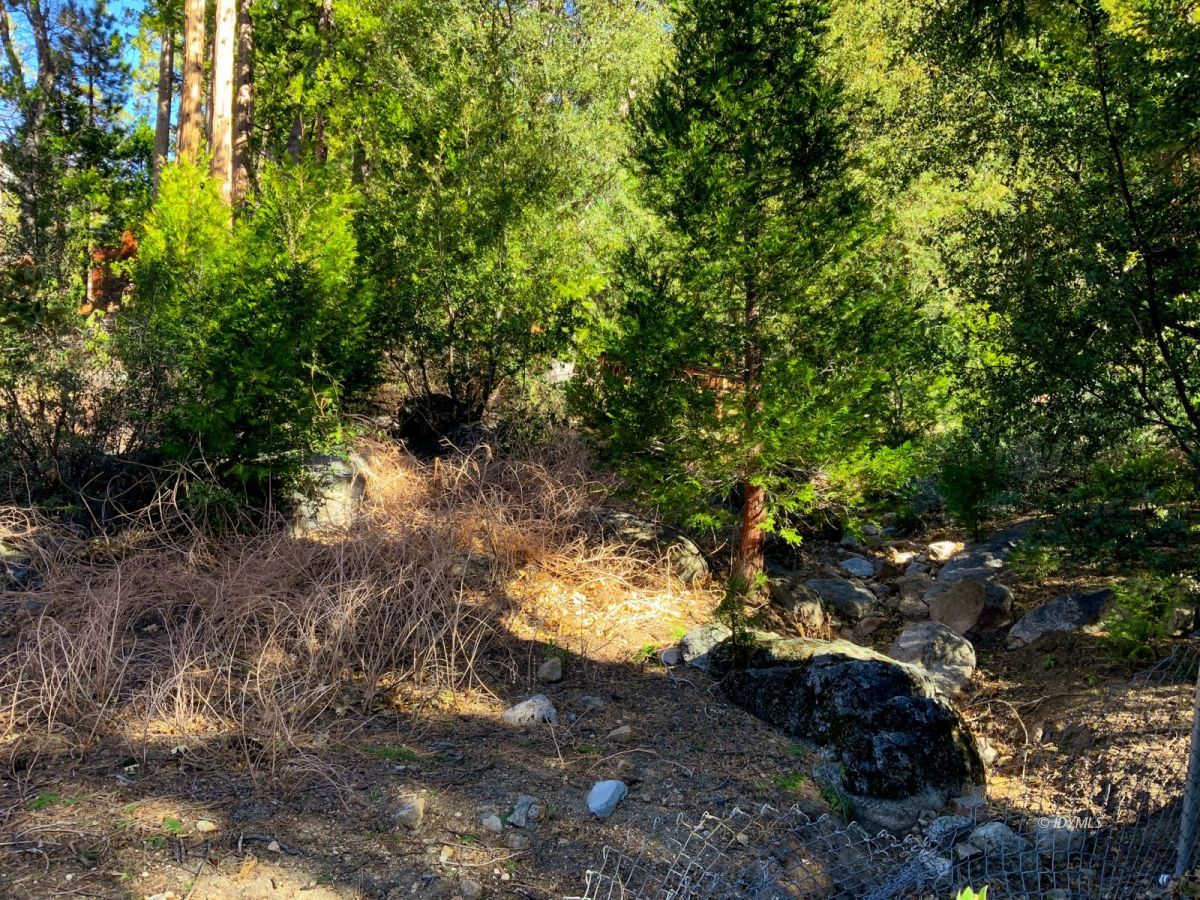24989 Rim Rock Road Idyllwild, CA 92549 - Photo 54 of 58 Untitled