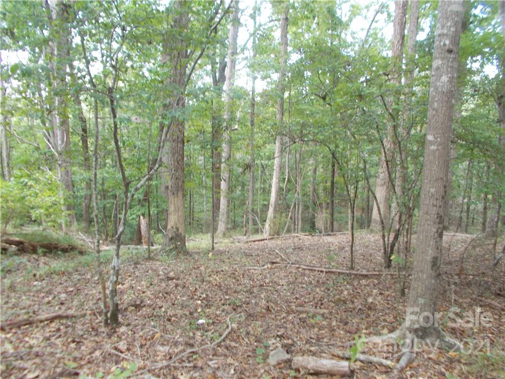 5955 Woods Ferry Road Carlisle, SC 29031 - Photo 1 of 16 a backyard of a house with lots of green space