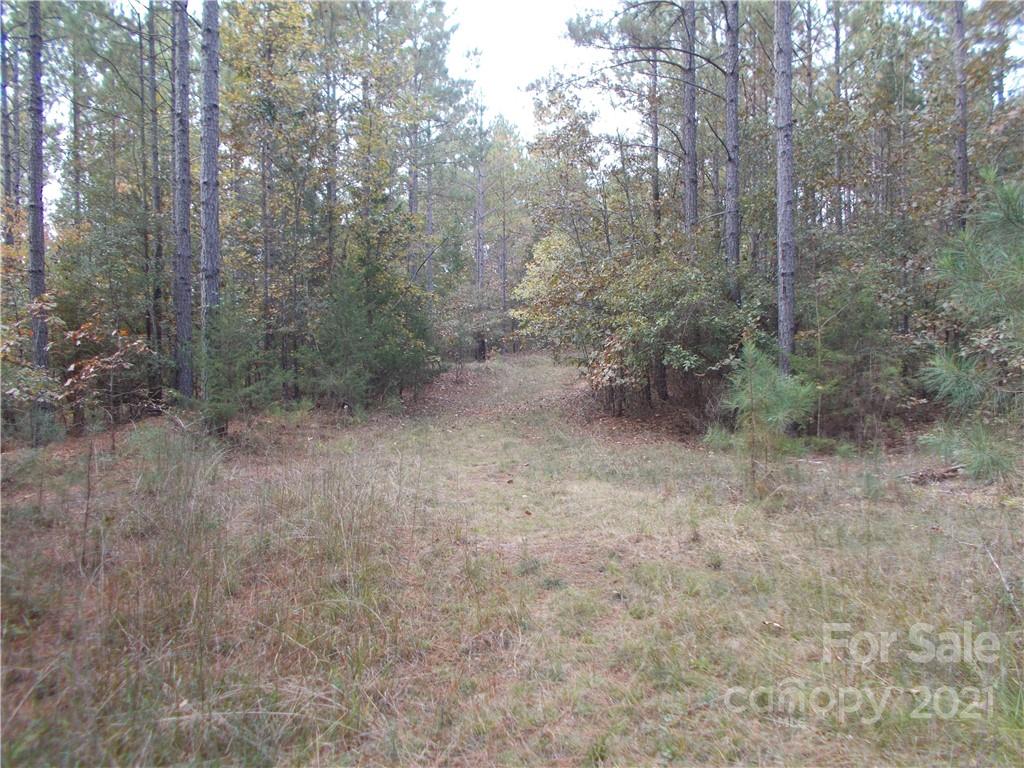 5955 Woods Ferry Road Carlisle, SC 29031 - Photo 3 of 16 a view of a forest with trees in the background