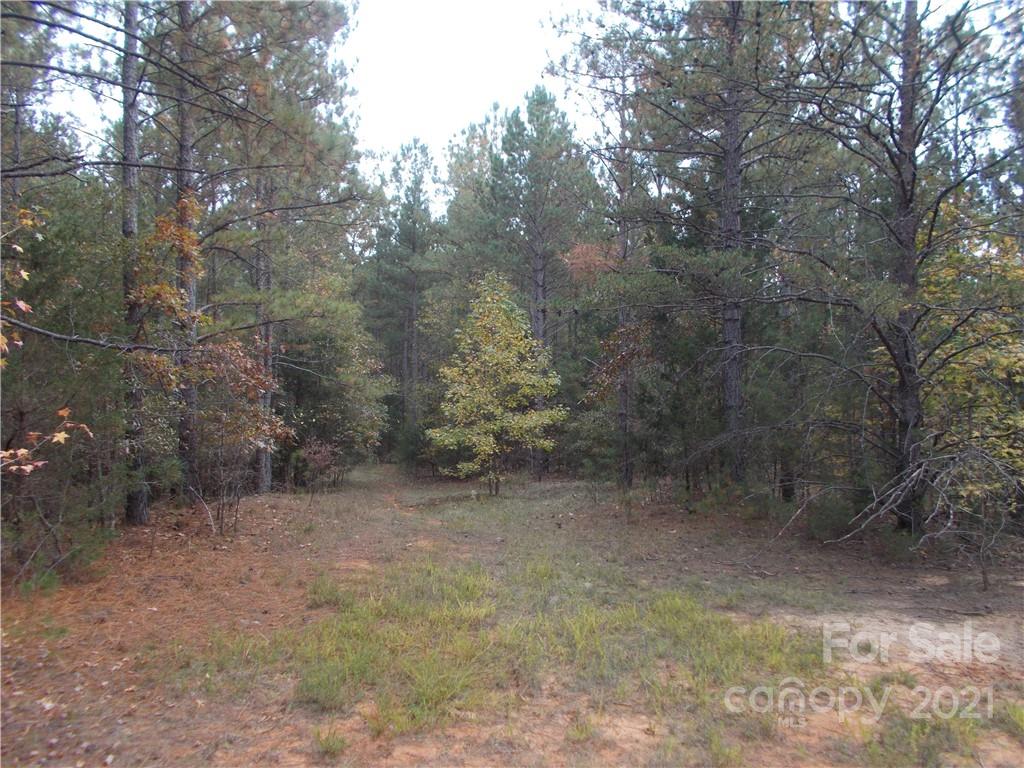 5955 Woods Ferry Road Carlisle, SC 29031 - Photo 5 of 16 a view of a forest with trees in the background