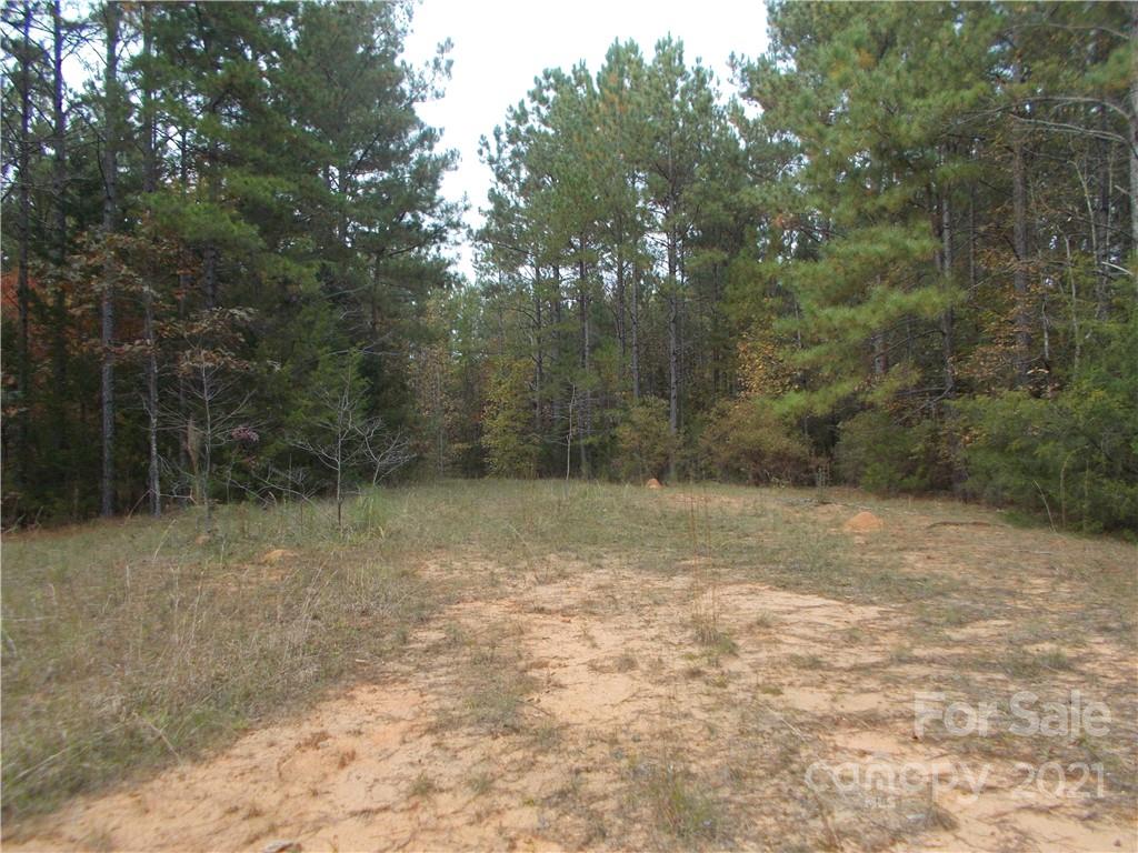 5955 Woods Ferry Road Carlisle, SC 29031 - Photo 6 of 16 a view of a yard with a tree