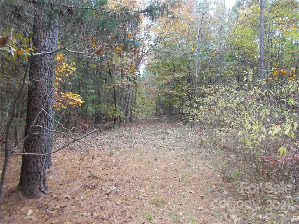 5955 Woods Ferry Road Carlisle, SC 29031 - Photo 8 of 16 a backyard of a house with lots of green space