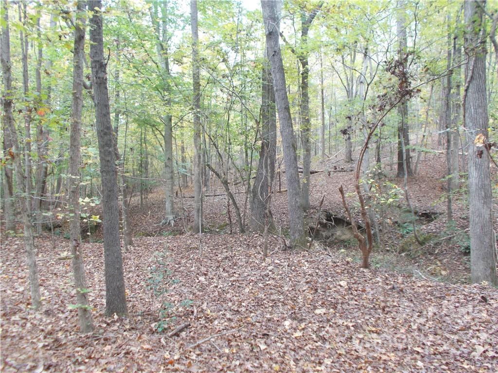 5955 Woods Ferry Road Carlisle, SC 29031 - Photo 9 of 16 a backyard of a house with lots of green space
