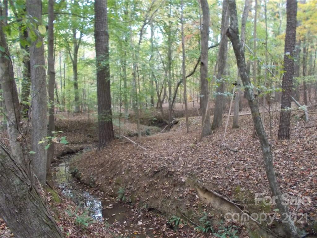 5955 Woods Ferry Road Carlisle, SC 29031 - Photo 10 of 16 a view of a forest with trees