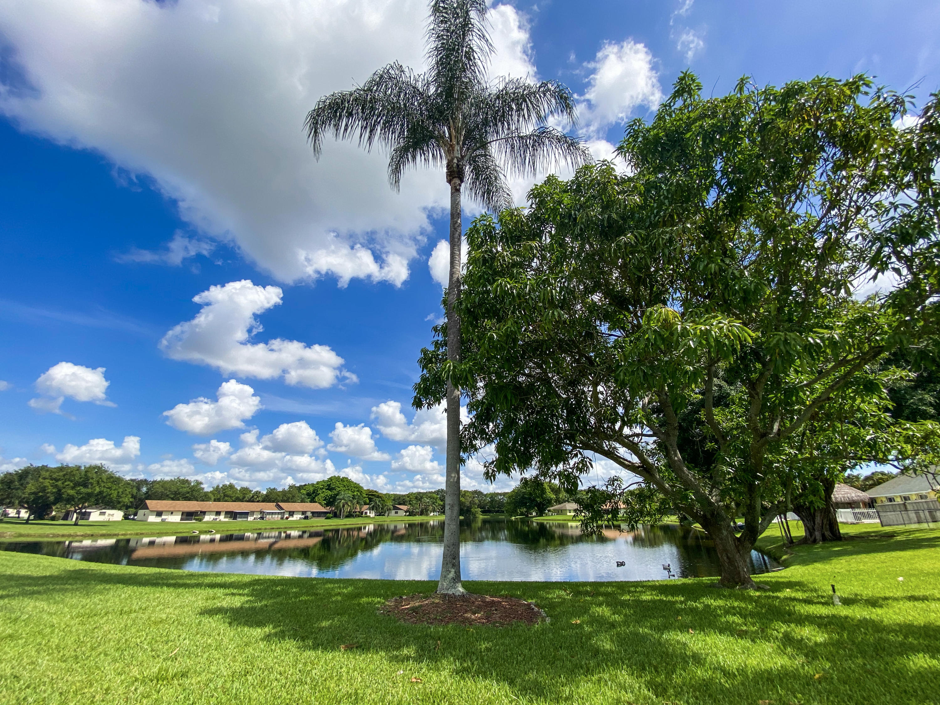 86 Las Brisas Boynton Beach, FL 33426 - Photo 31 of 37 Beautiful Mango Tree/Lake Views!