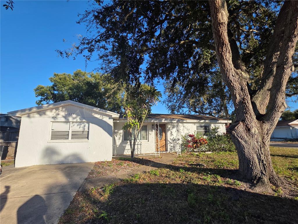a view of a yard with a tree