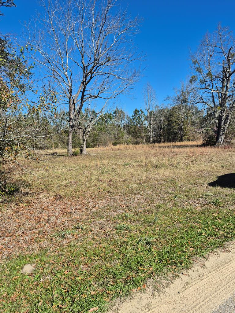 3195 Curtis Mixon Road Gordon, AL 36343 - Photo 2 of 2
