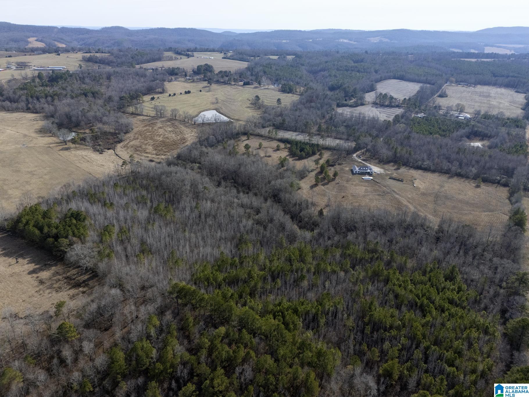 941 Hamm Road Blountsville, AL 35031 - Photo 60 of 67