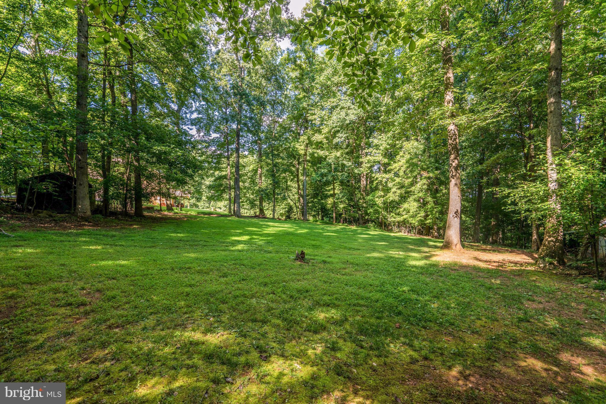 7221 Baldwin Ridge Road Warrenton, VA 20187 - Photo 28 of 30 Side Yard; Over 2 Acres No HOA No Fees!!