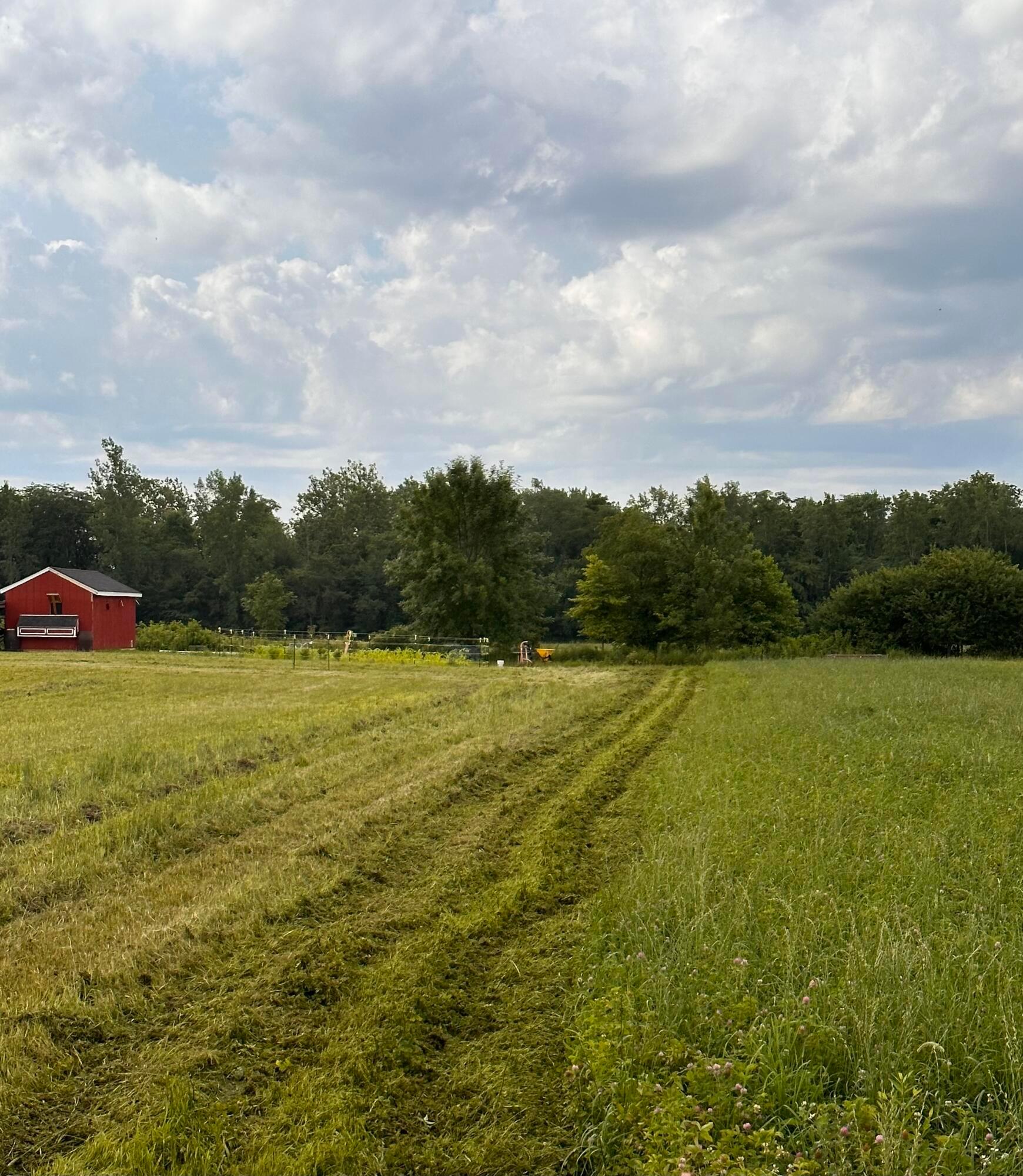 631 Tyler Road Ostrander, OH 43061 - Photo 7 of 10 FullSizeRender1