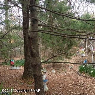 136 Pipher Road Bushkill, PA 18324 - Photo 3 of 12 front yard view 2