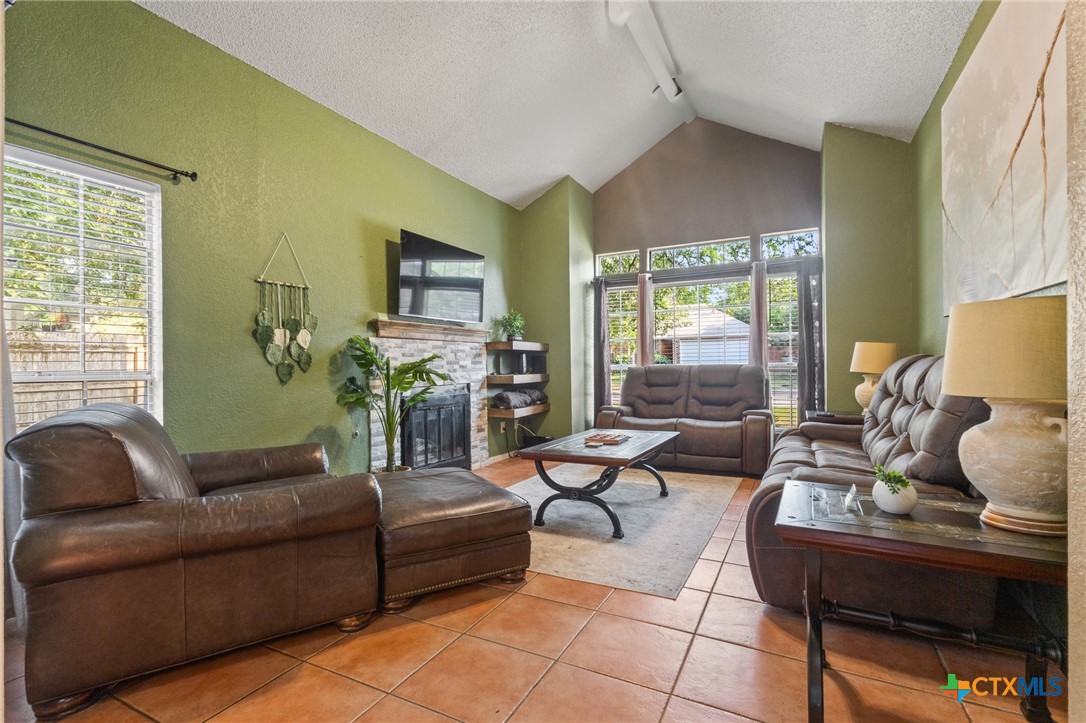 2107 Raintree Path Round Rock, TX 78664 - Photo 8 of 35 a living room with fireplace furniture and a large window
