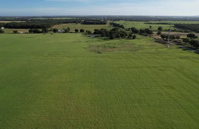 a view of a field with an ocean
