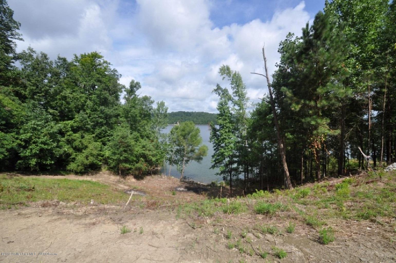 0 Co Road Cullman, AL 35057 - Photo 27 of 28 Gallery Image 27