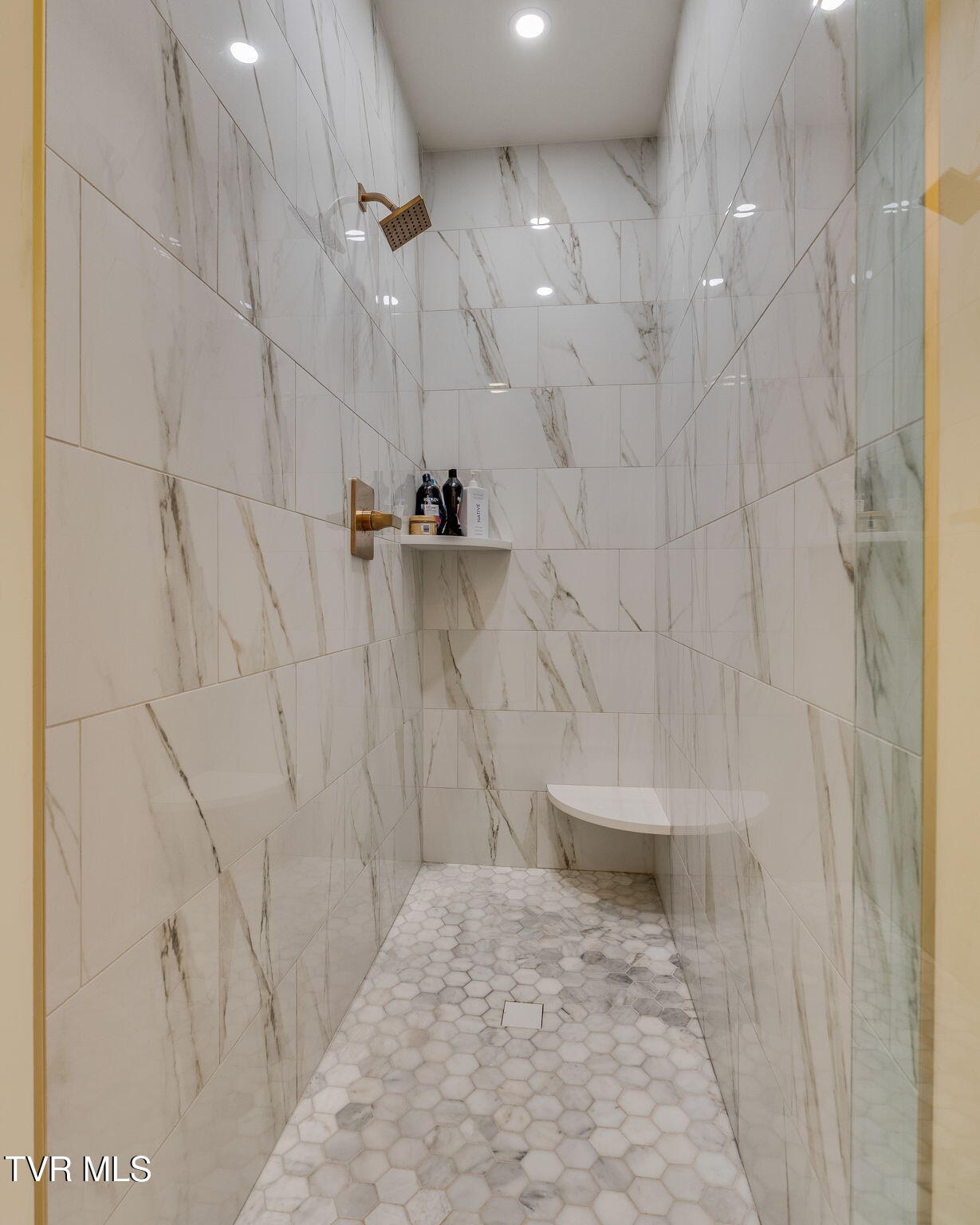 10 Pendleton Place Kingsport, TN 37664 - Photo 26 of 62 Primary Shower