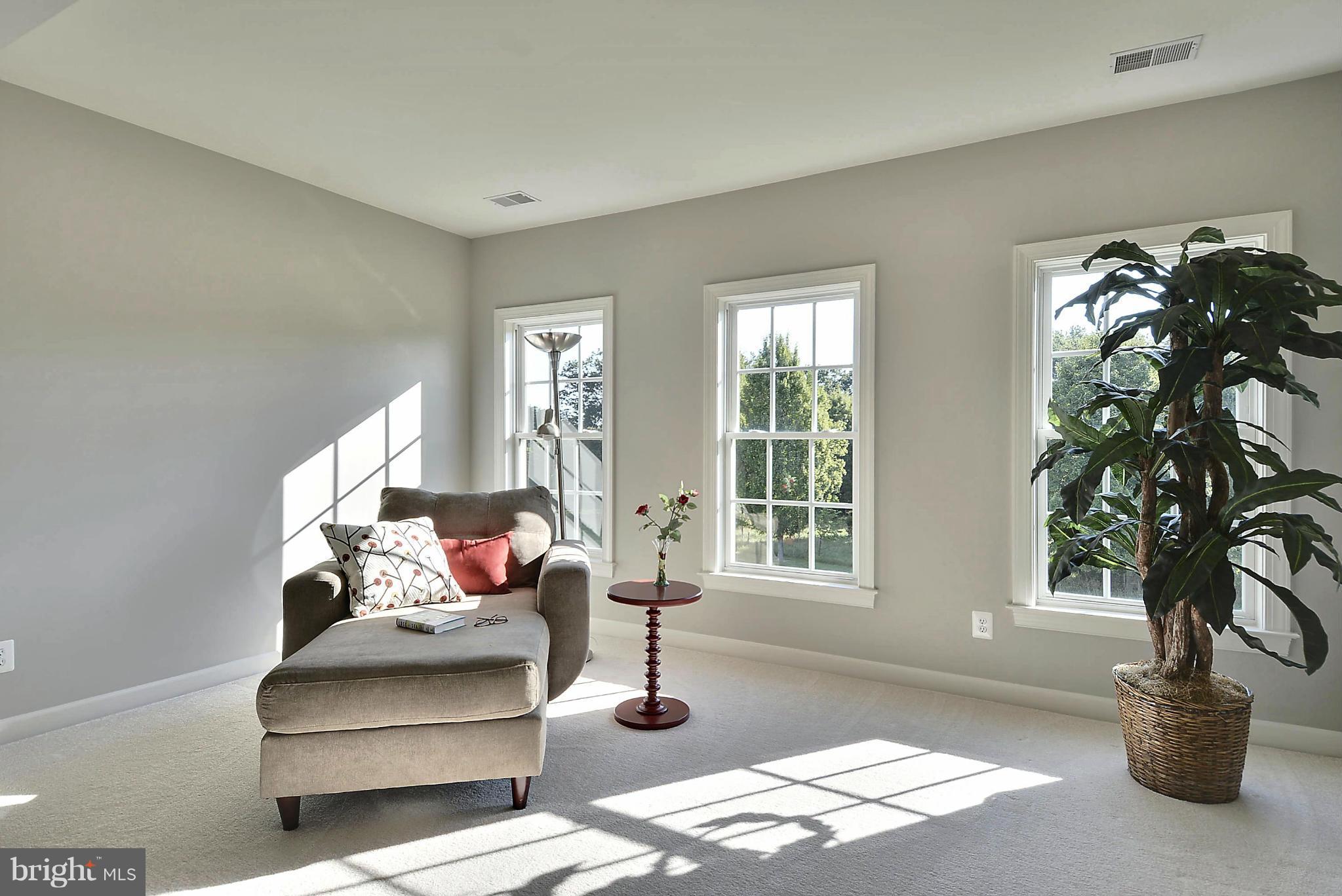 15429 Maple Ridge Drive Woodbine, MD 21797 - Photo 17 of 30 a living room with furniture and a potted plant
