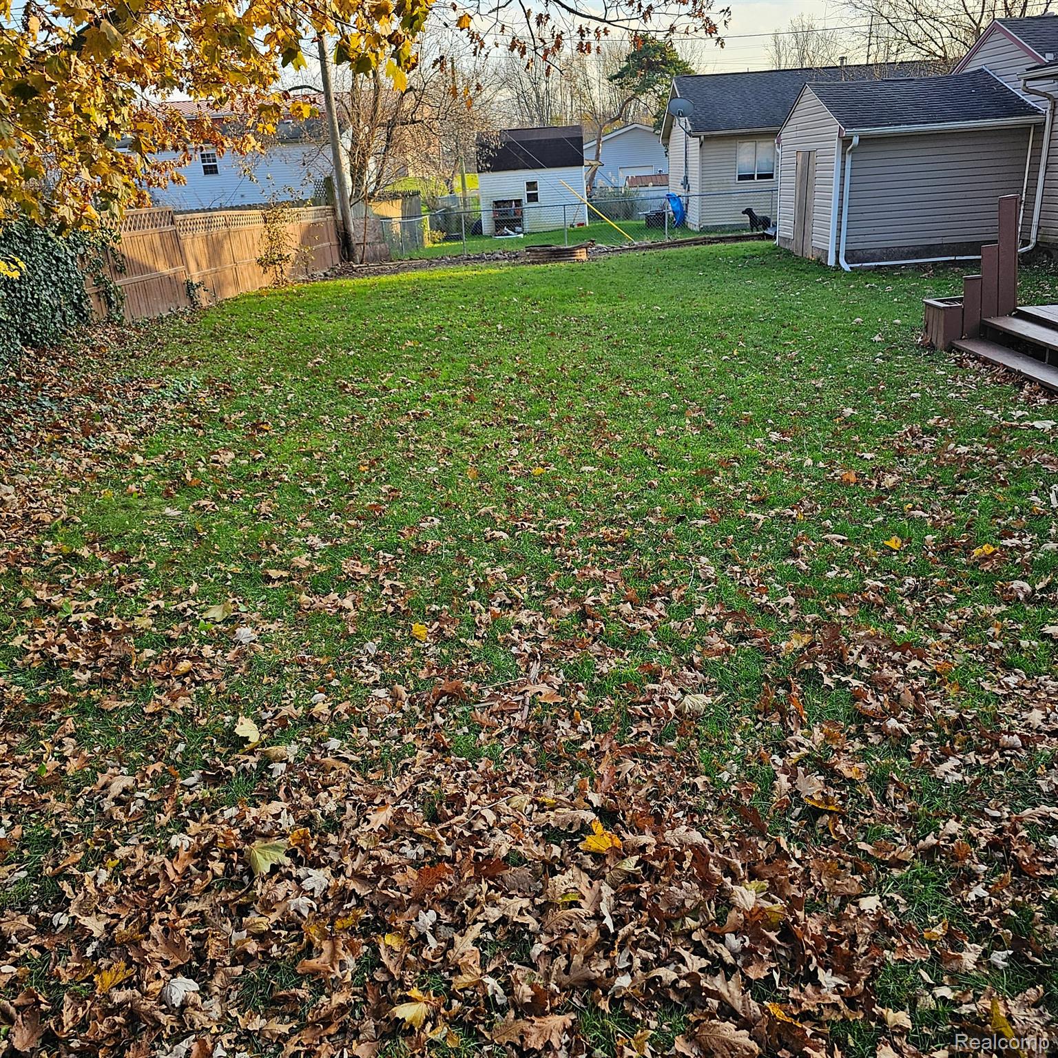 205 North Elm Road Webberville, MI 48892 - Photo 31 of 35 Fenced in back yard