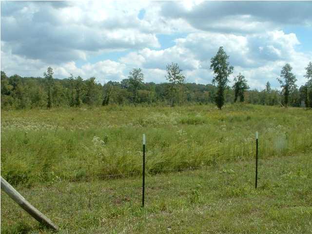 1600 Boyles Mill Road Northeast Dalton, GA 30721 - Photo 18 of 20 Additional Photo