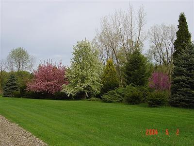 9163 Garr Road Berrien Springs, MI 49103 - Photo 13 of 22 Additional Photo