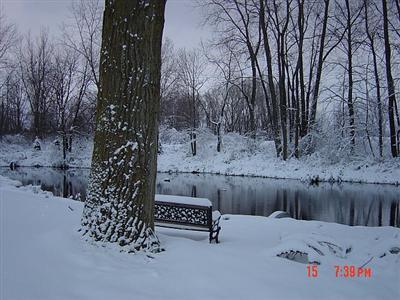9163 Garr Road Berrien Springs, MI 49103 - Photo 15 of 22 Additional Photo