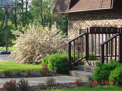 9163 Garr Road Berrien Springs, MI 49103 - Photo 21 of 22 Additional Photo