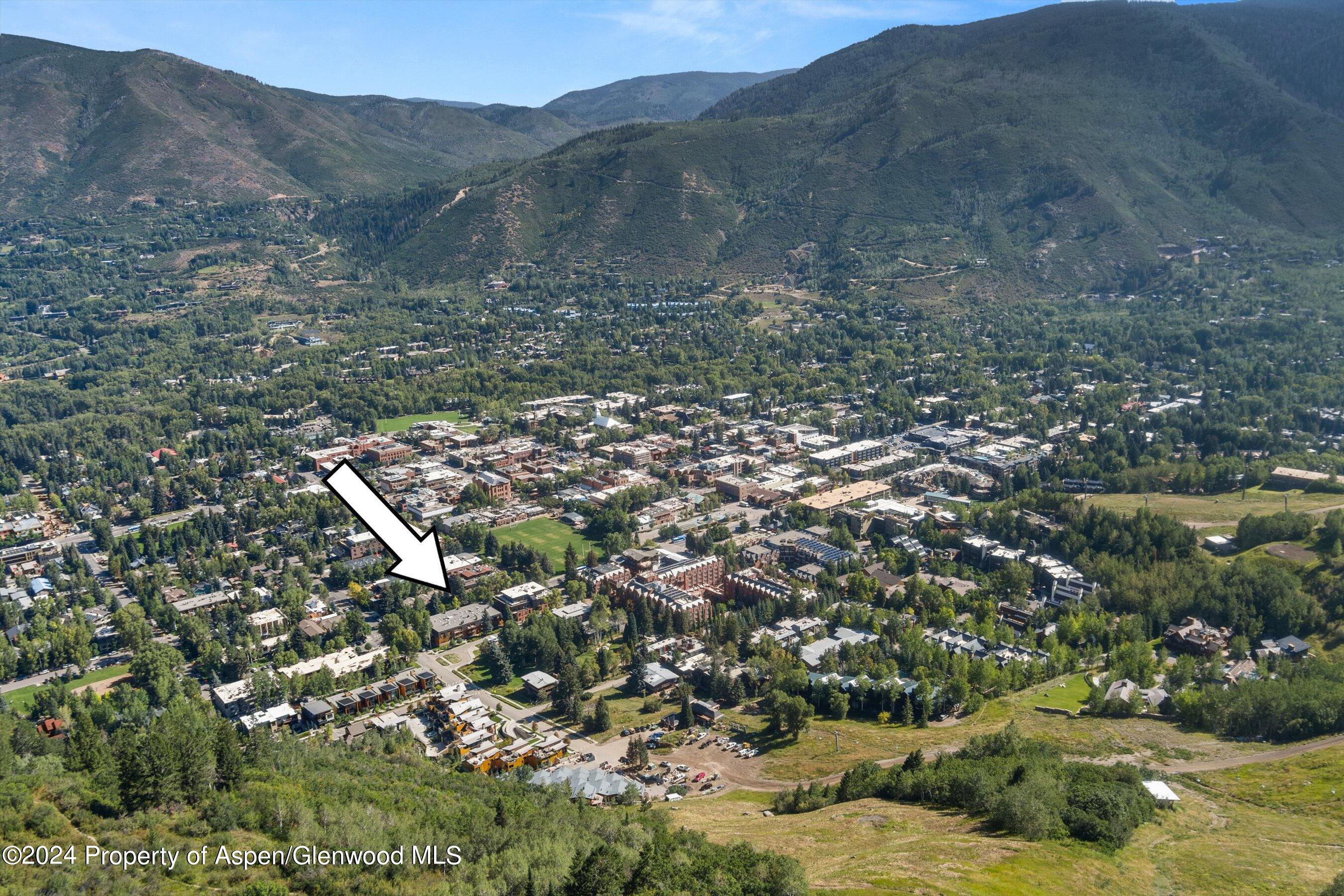 205 East Durant Avenue, Unit 1I Aspen, CO 81611 - Photo 40 of 45 a view of a forest with mountains in the background