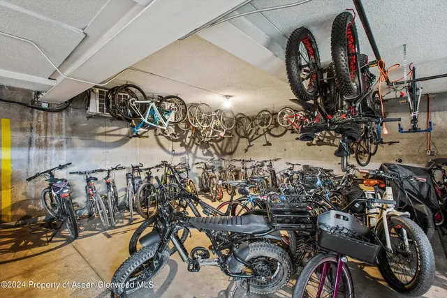 $35,000 | 205 East Durant Avenue, Unit 1I, Aspen, CO 81611