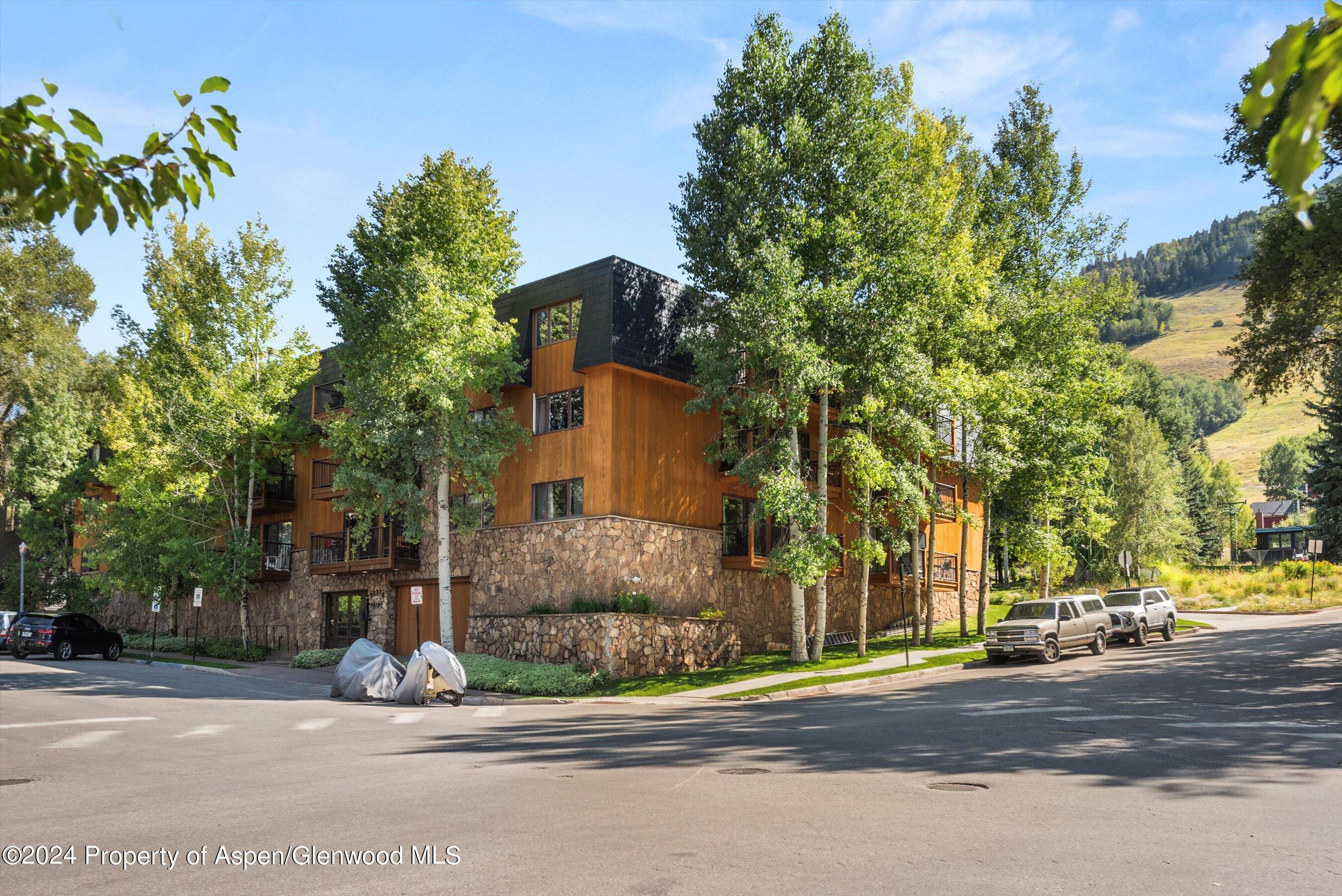 205 East Durant Avenue, Unit 1I Aspen, CO 81611 - Photo 45 of 45
