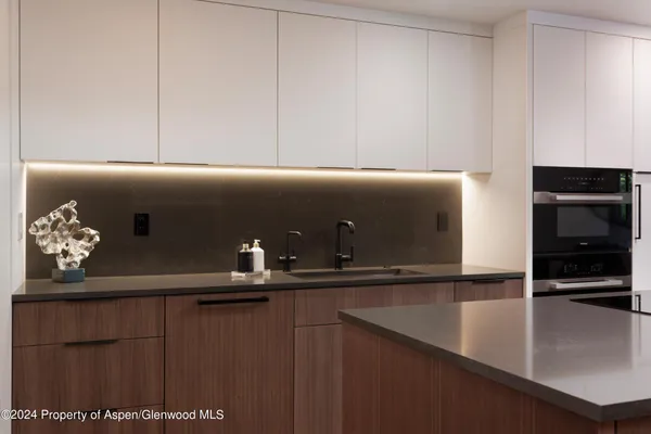 $40,000 | 205 East Durant Avenue, Unit 1I, Aspen, CO 81611