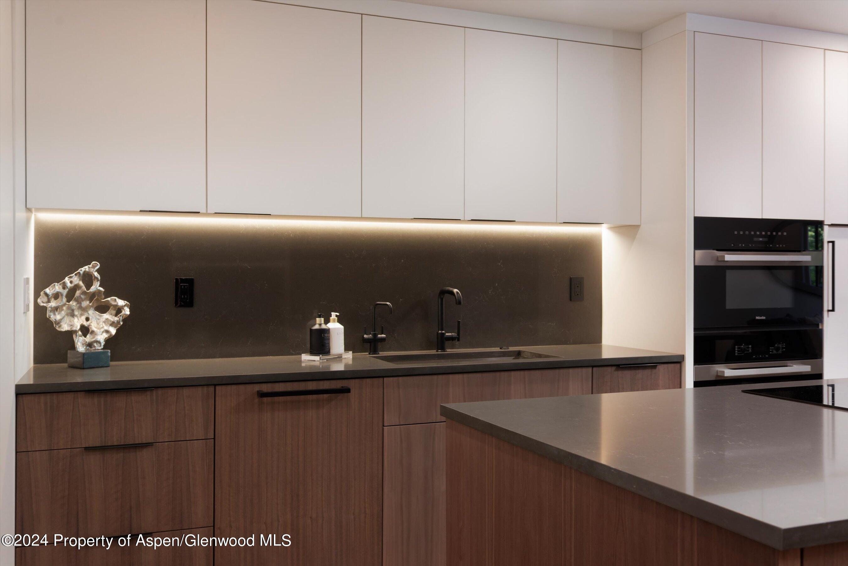 205 East Durant Avenue, Unit 1I Aspen, CO 81611 - Photo 9 of 45