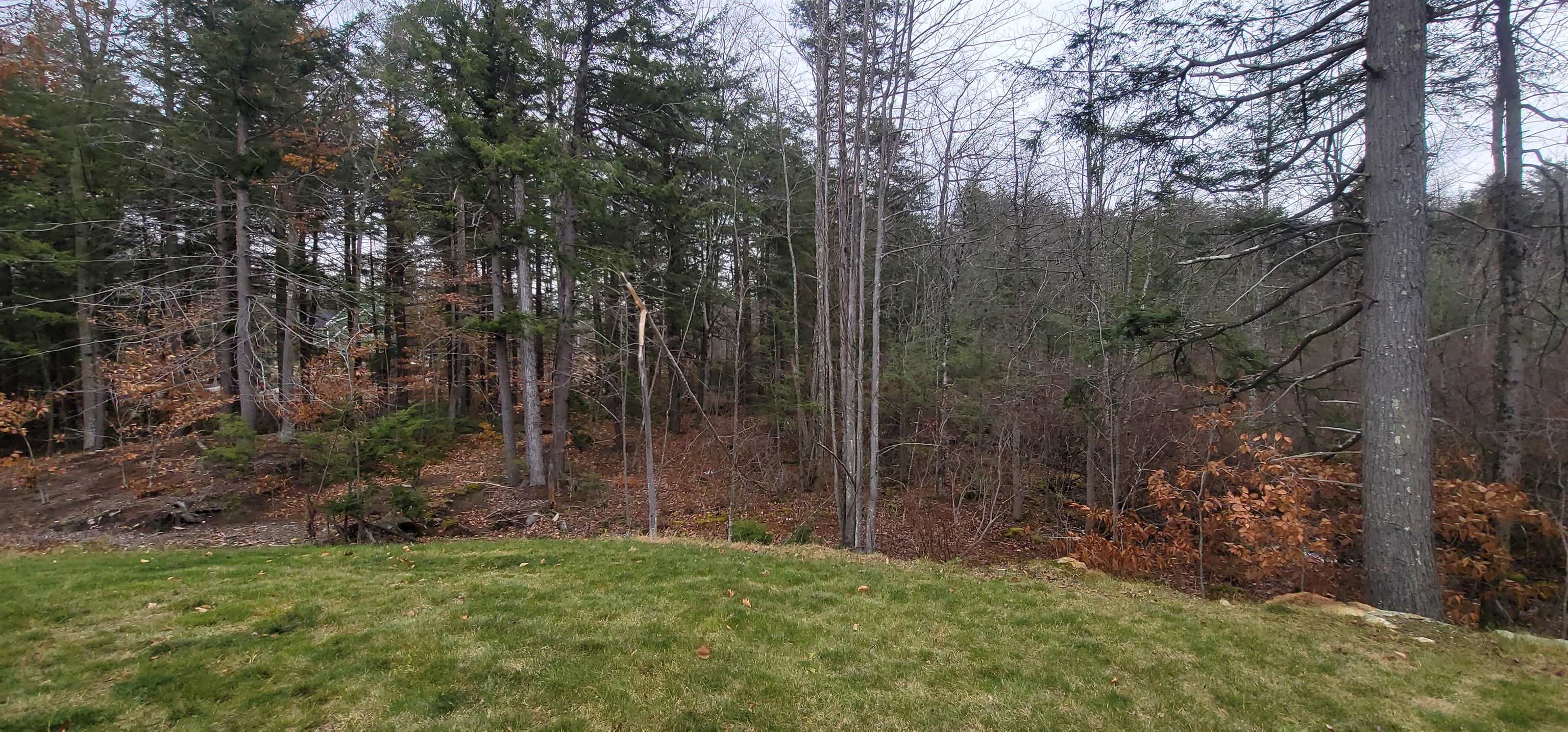 3 Dutton Circle Mont Vernon, NH 03057 - Photo 45 of 60