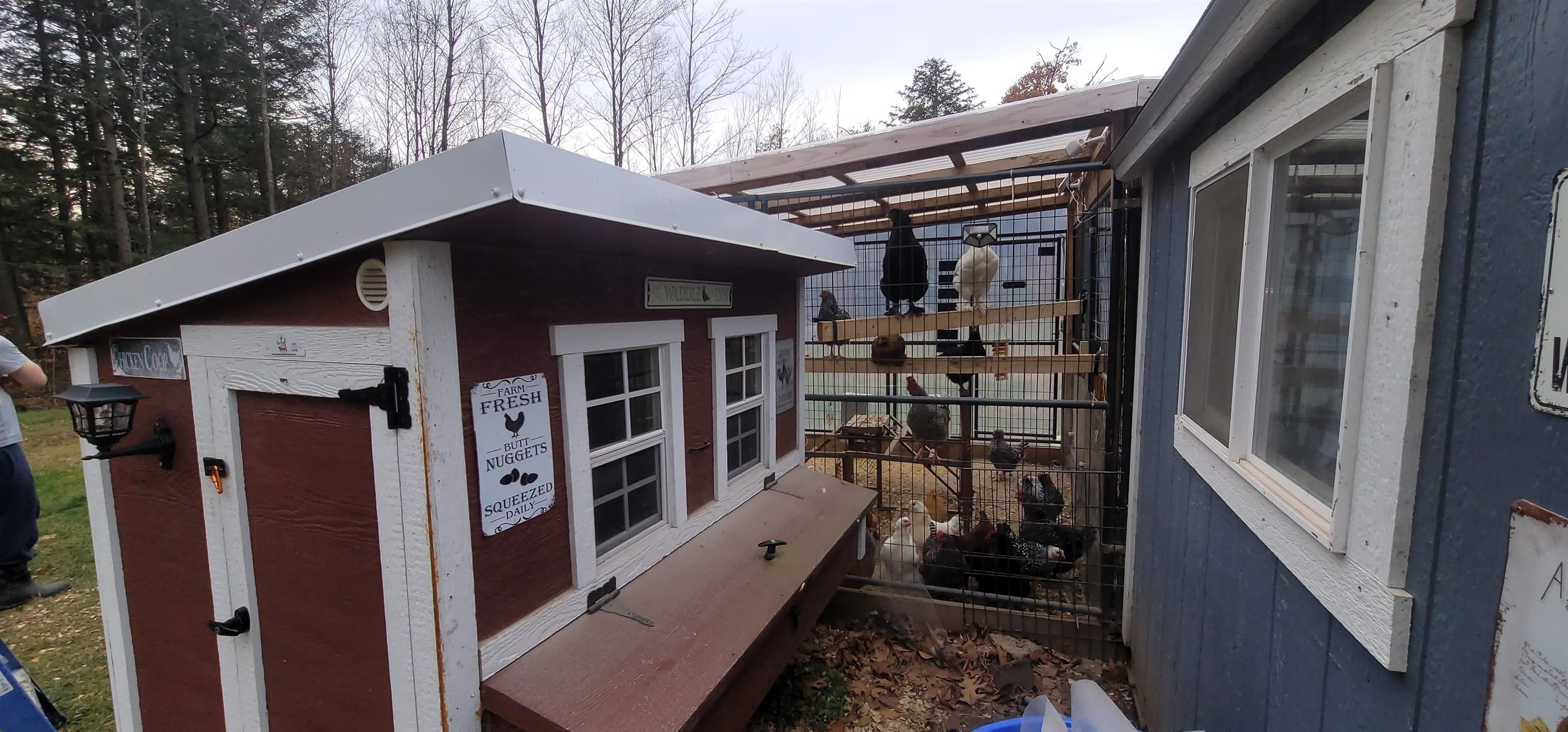 3 Dutton Circle Mont Vernon, NH 03057 - Photo 50 of 60