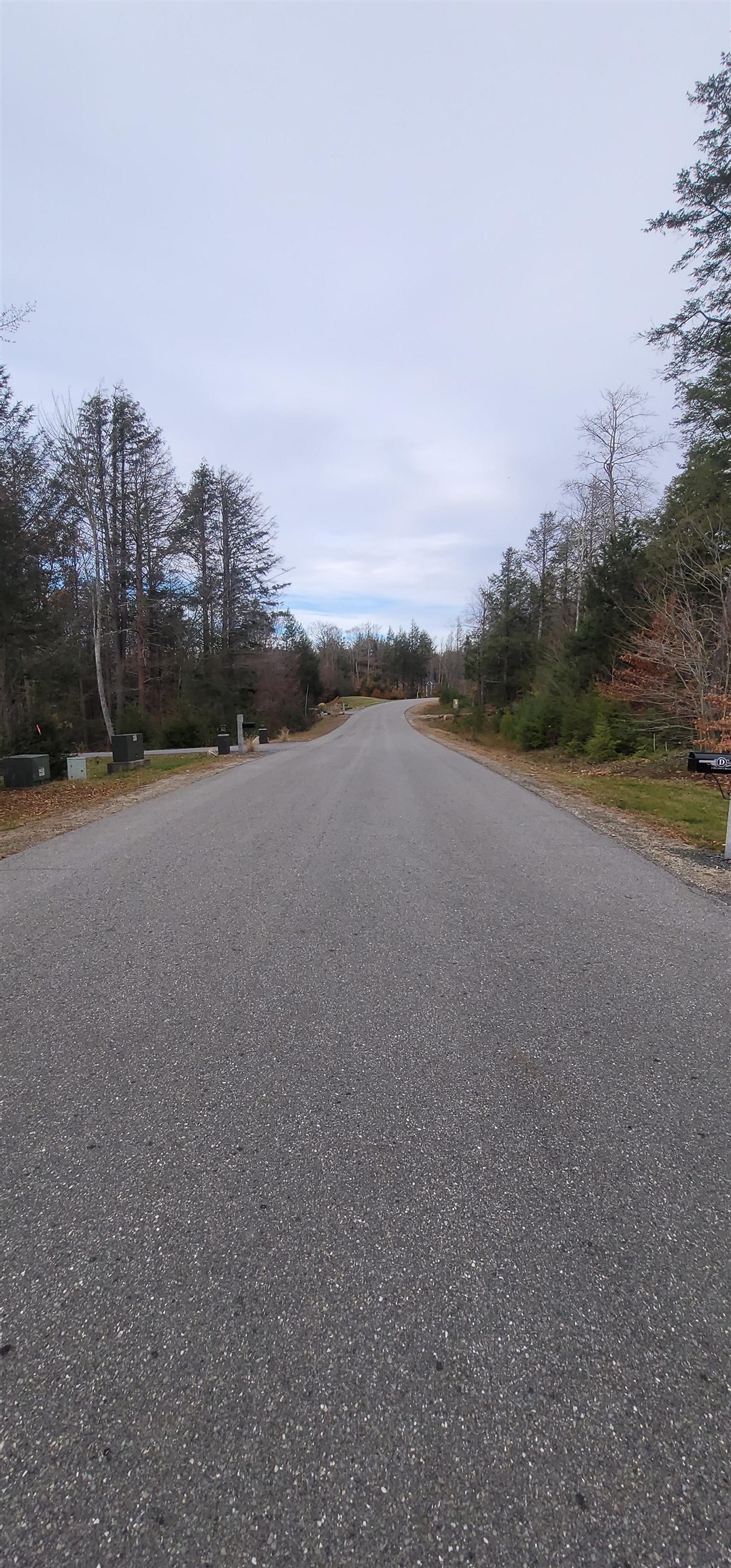 3 Dutton Circle Mont Vernon, NH 03057 - Photo 59 of 60