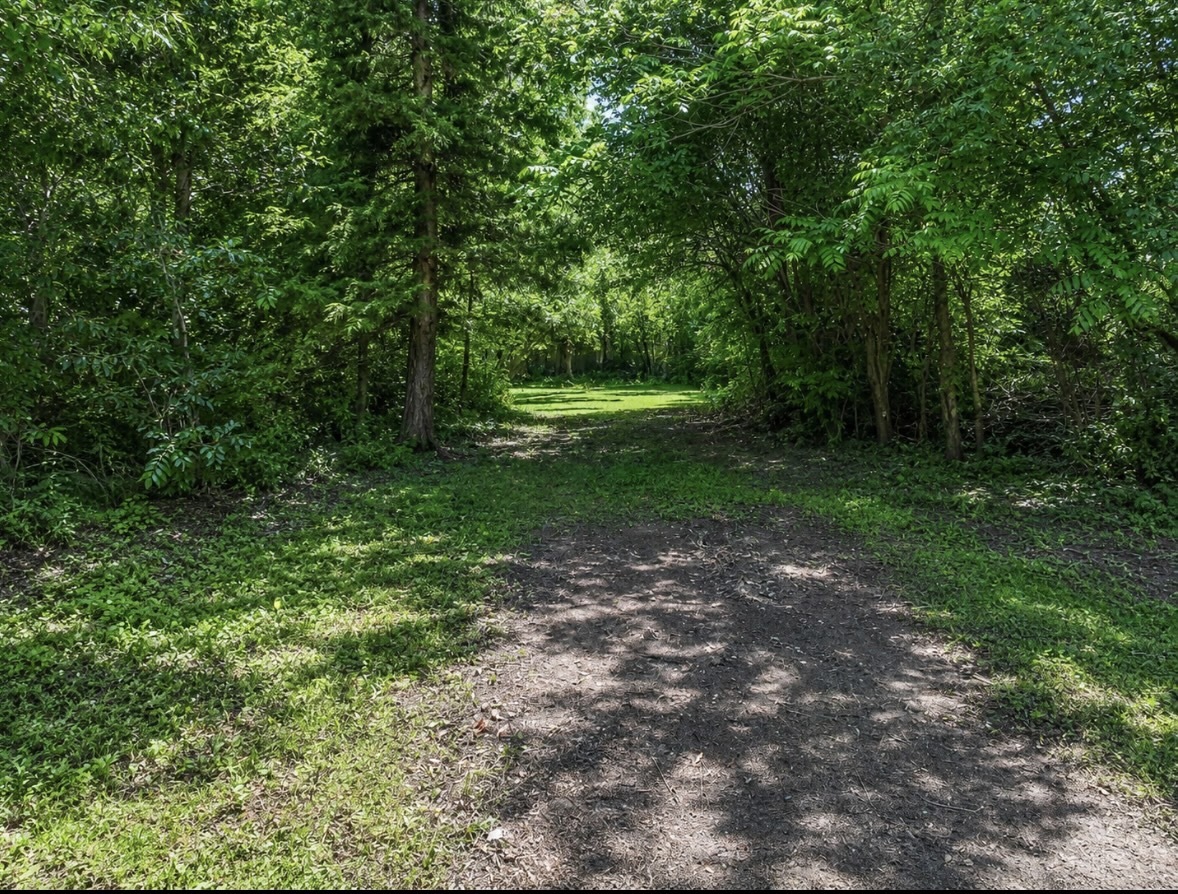 309 Landmeier Road Elk Grove Village, IL 60007 - Photo 7 of 15