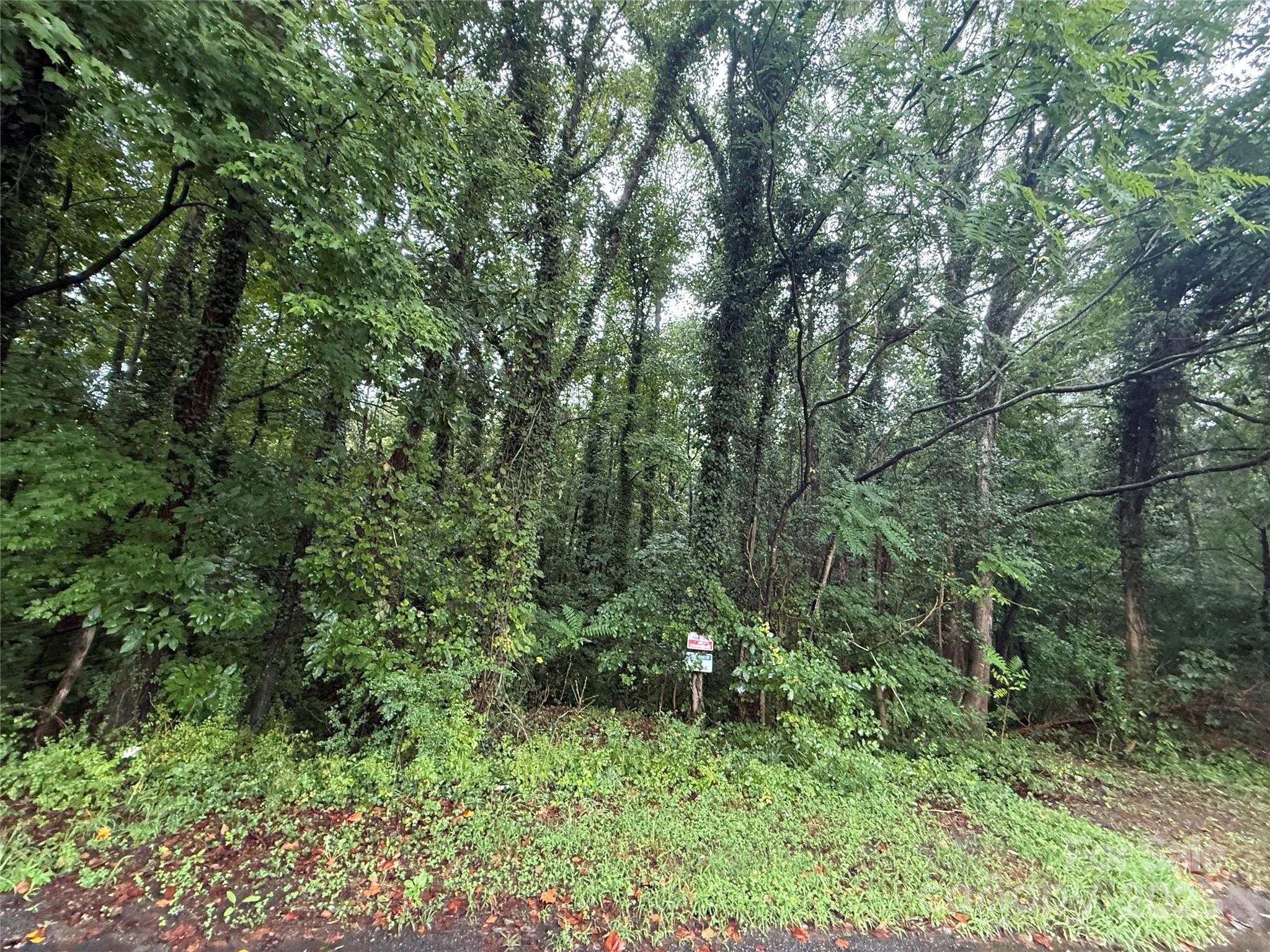 10123 Nomad Drive Charlotte, NC 28214 - Photo 2 of 2 a view of a lush green forest