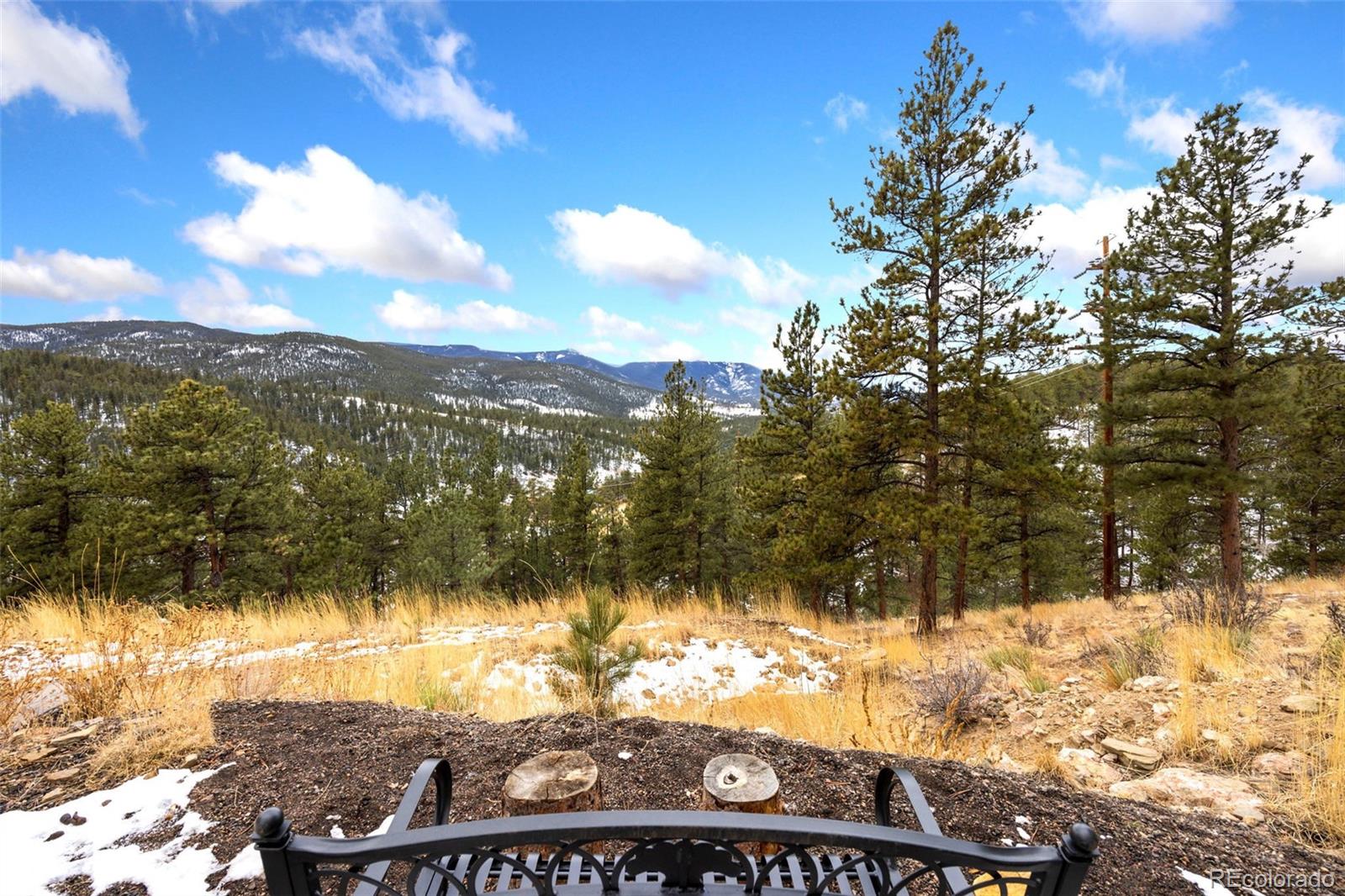 305 Virginia Road, Unit D Bailey, CO 80421 - Photo 8 of 39 Gallery Image 8