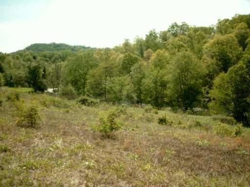 Lot 2 Gressly Road Ruffs Dale, PA 15679 - Photo 8 of 8 Other.