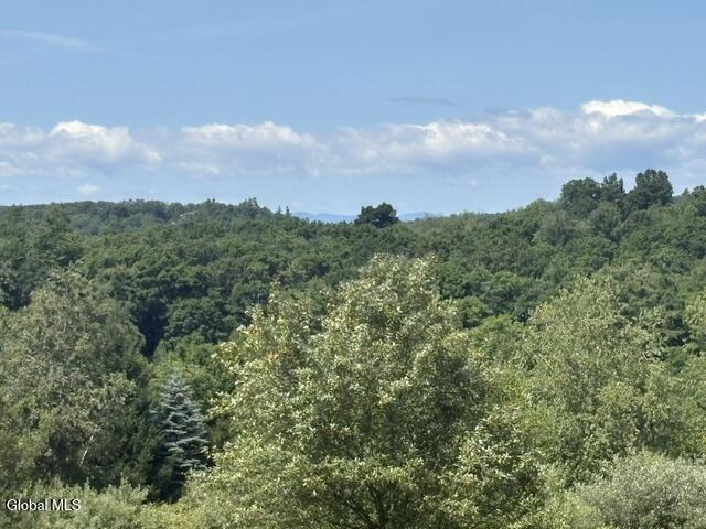 L18.120 Maiers Road Taghkanic, NY 12521 - Photo 8 of 15 IMG_4227