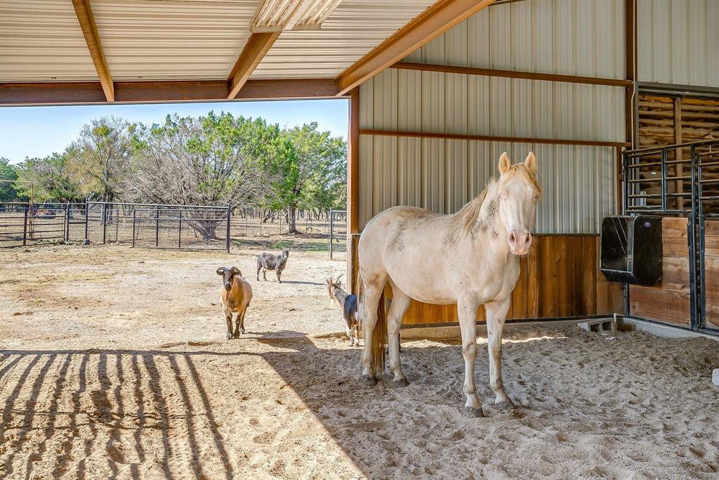 357 Wood Lake Road Aledo, TX 76008 - Photo 7 of 40 a view of a backyard with table and chairs with wooden floor and fence