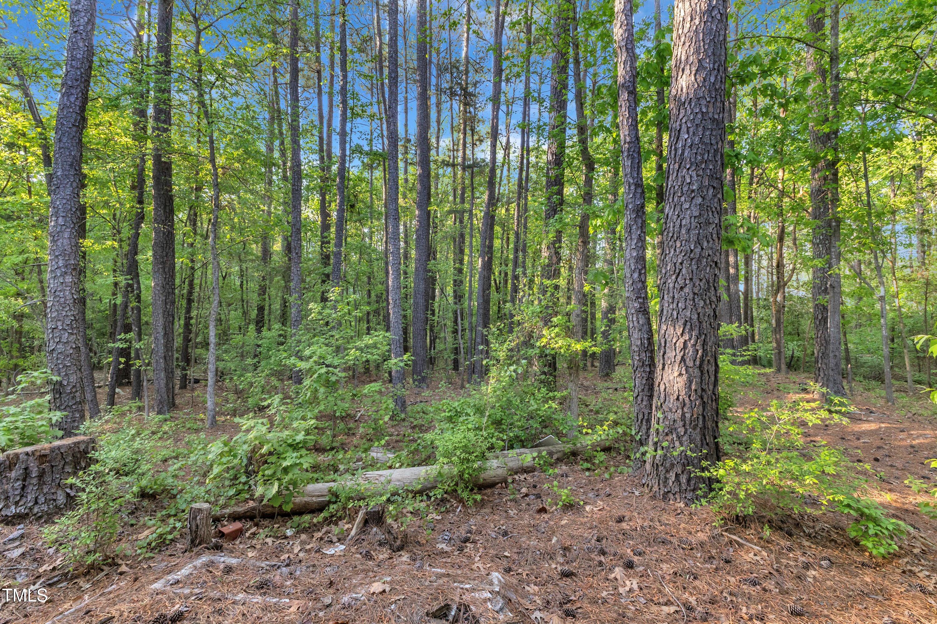 924 Lynn Road Durham, NC 27703 - Photo 33 of 33 32-924 Lynn Rd-8