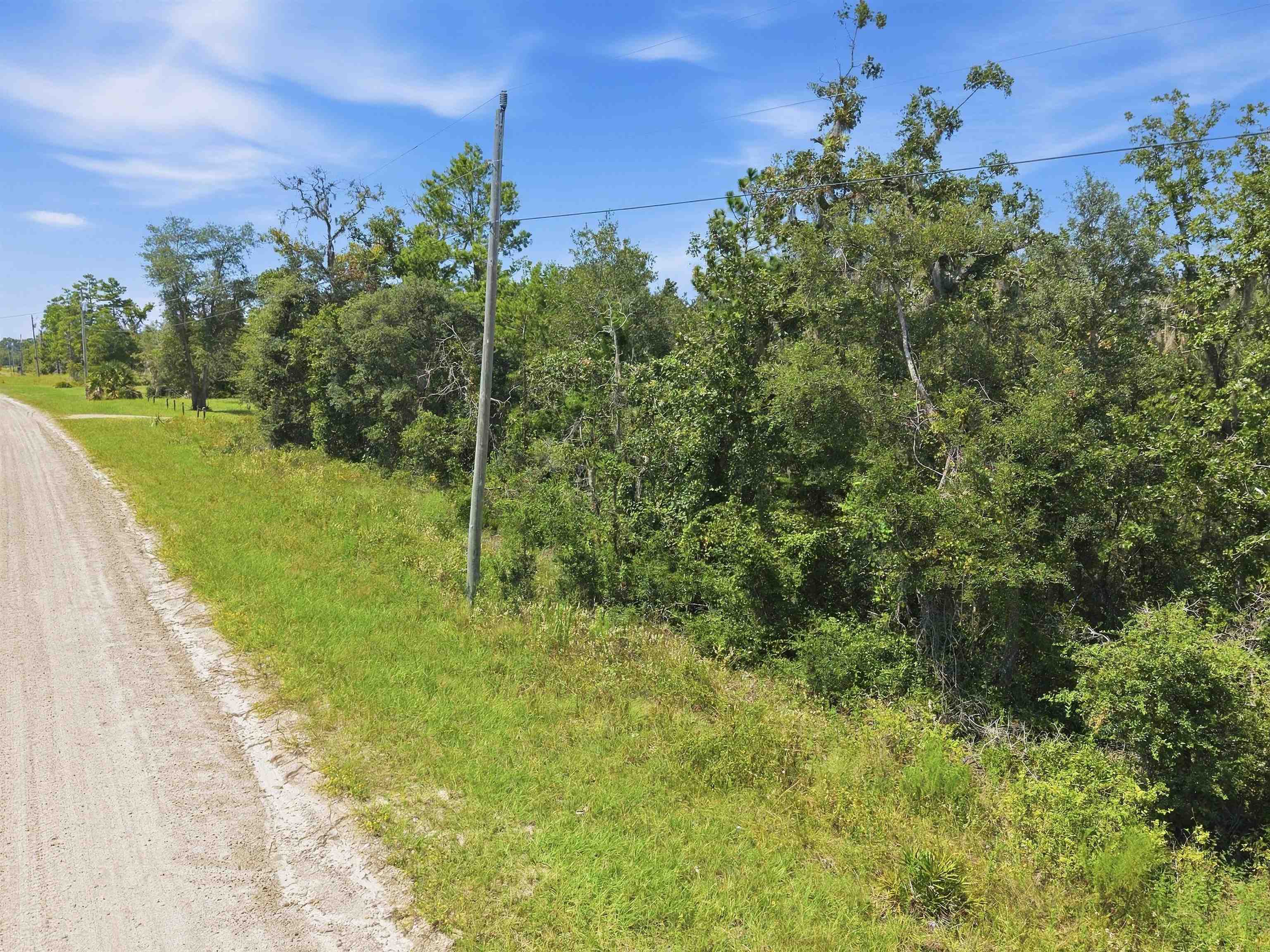 East Vacant Royal Oak Drive Road Perry, FL 32348 - Photo 24 of 26 Gallery Image 24
