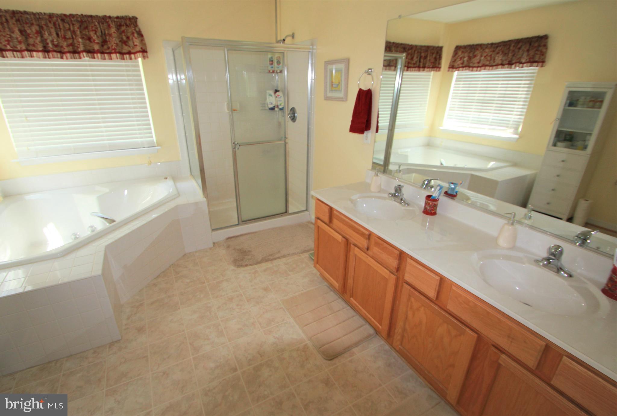 10920 Park Ridge Road Fredericksburg, VA 22408 - Photo 11 of 14 Bath (Master)